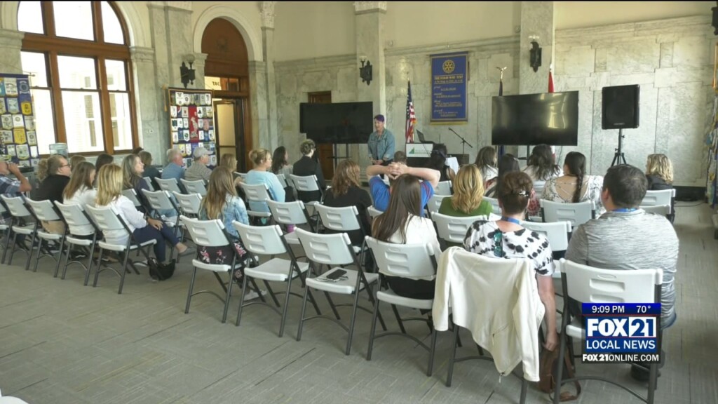 Essentia Interns Grads