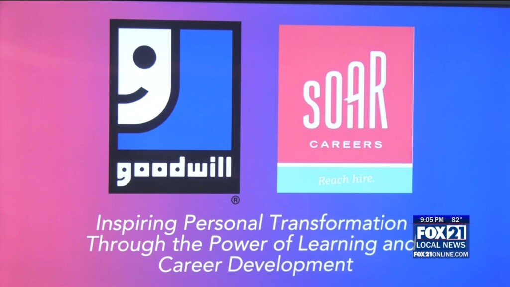 Goodwill Soar Merger