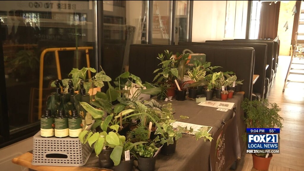Plant Sale