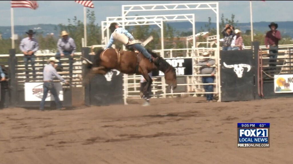 Superior Rodeo