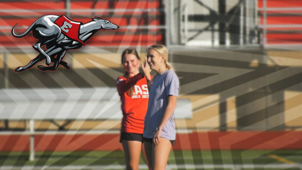 Lillykuettelnorthernstar