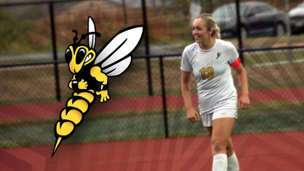 Niyawilsonnorthernstar