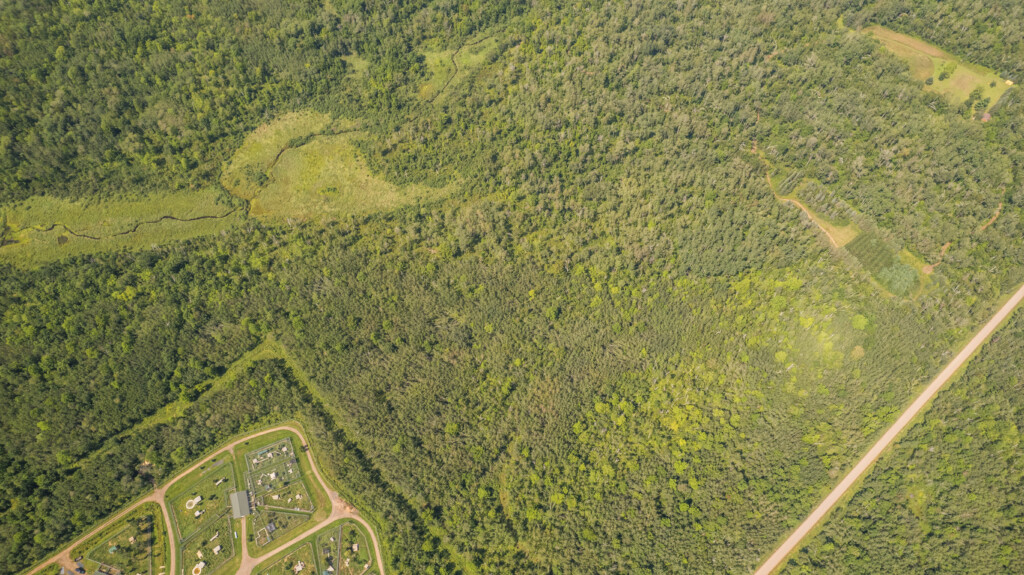 New Land Drone 2 2024 08 19 Jt