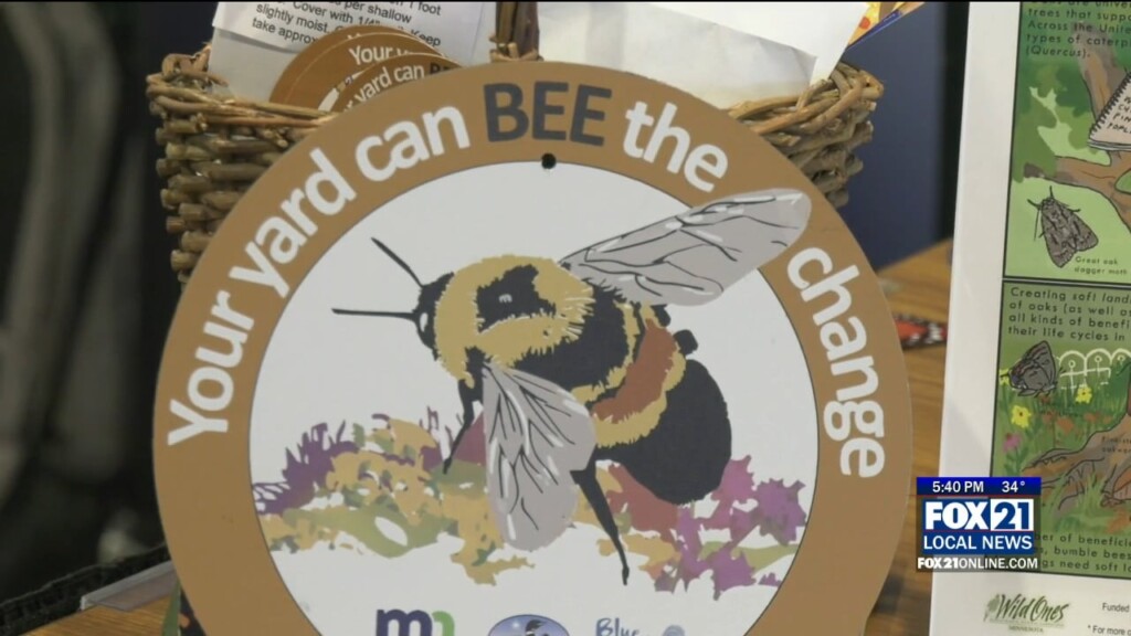 Bees