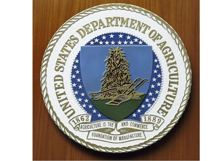 Ground Beef Sickness