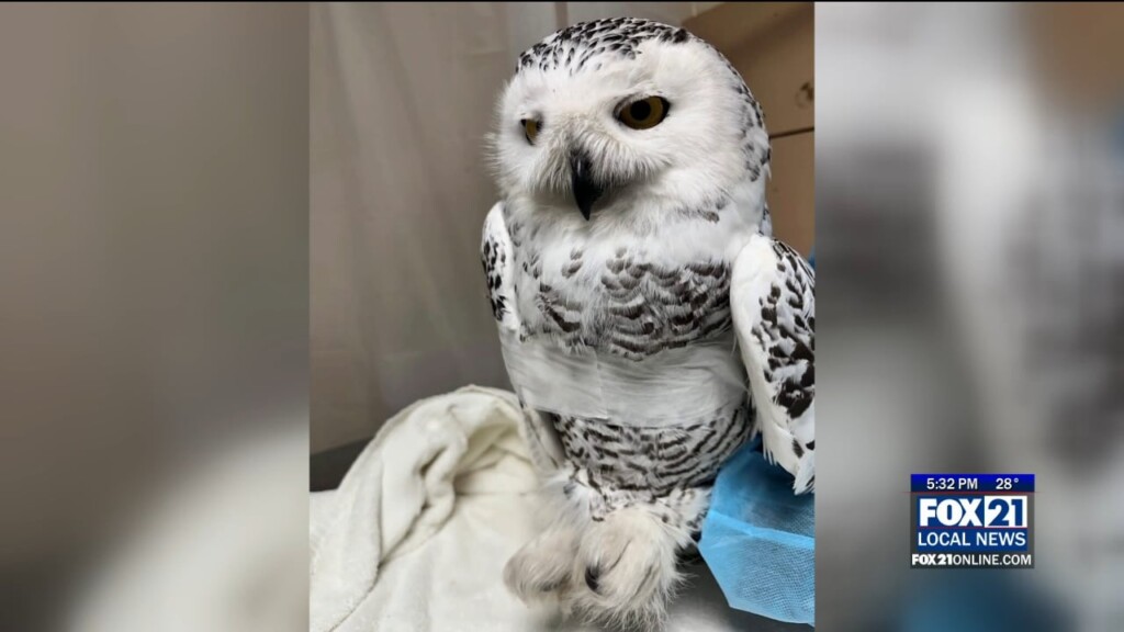 Kqds1 Tue Dec 24 17 00