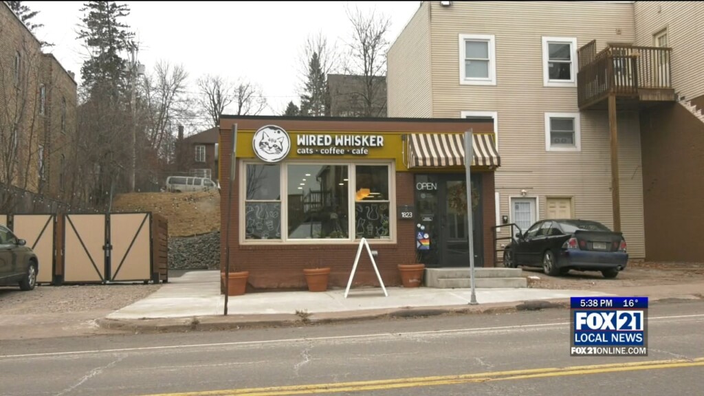 Wired Whiskers 2024 Recap