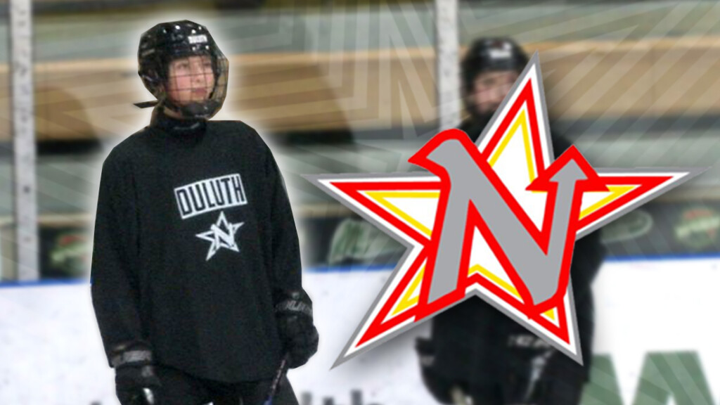 Northernstargracynschipper