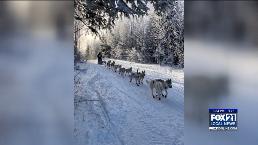 Dogsled