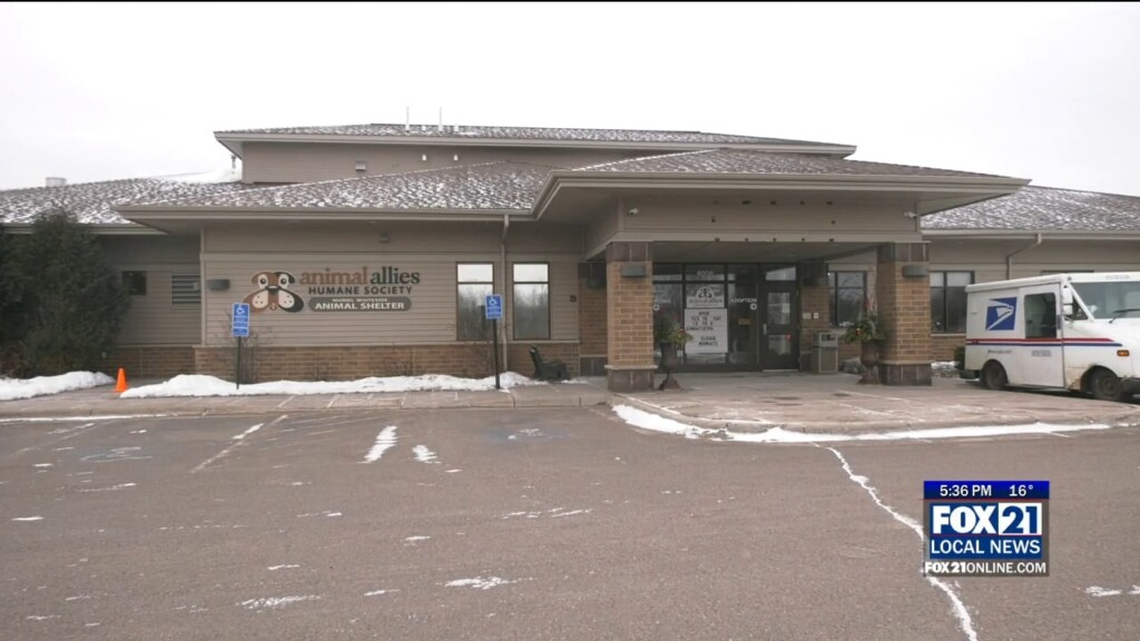 Animal Allies 2024 Recap