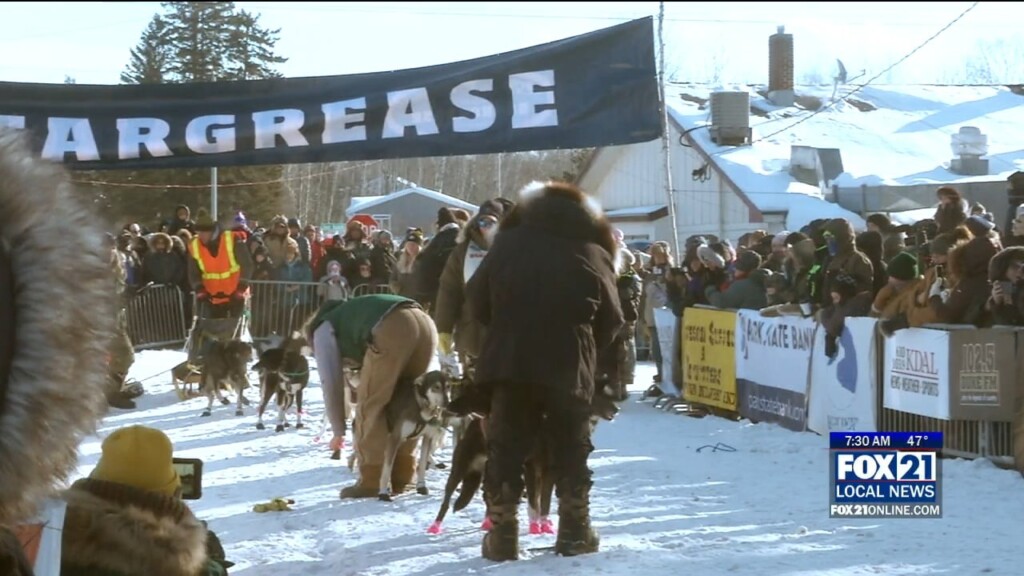 Beargrease New Start