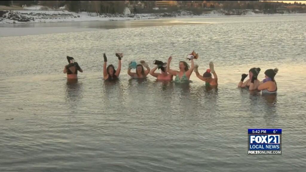 Chilly Water Dolphins