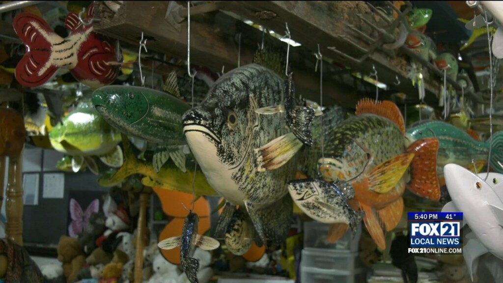 Fishing Lures And Spears