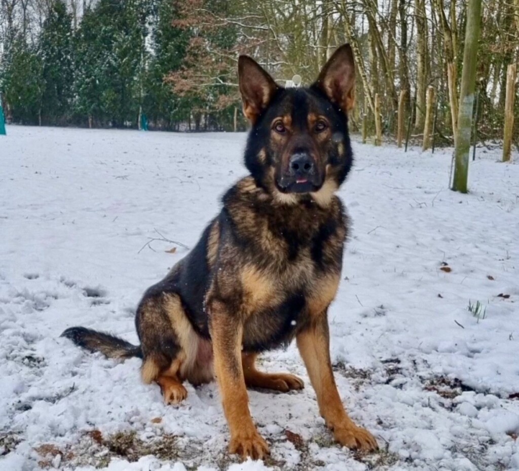 Thumbnail Getattachmentthumbnail