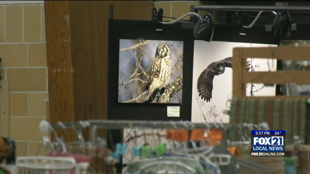 Spring Equinox Craft Fair