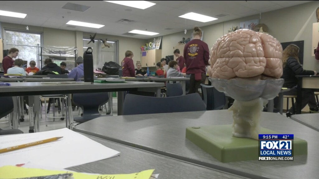Neuroscience Lab