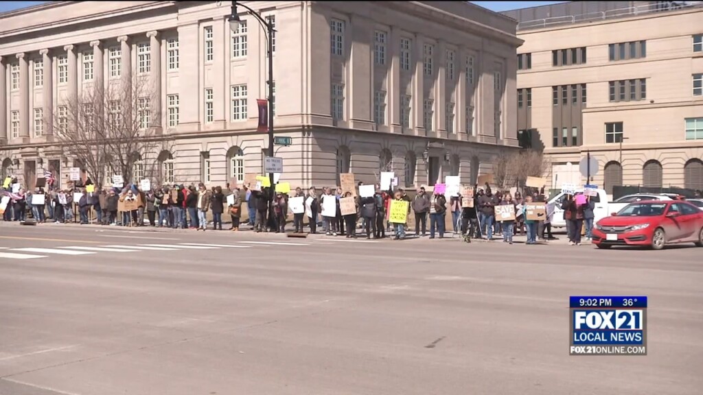 Hands Off Protests Northland