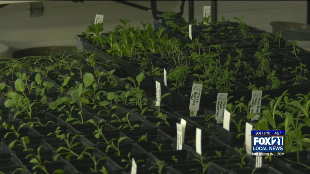 Kyn Little Waldo Farm