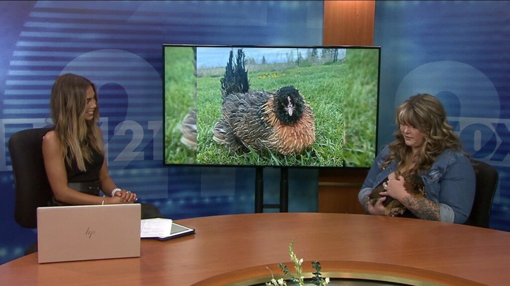 Kqds1 Fri May 23 08 00