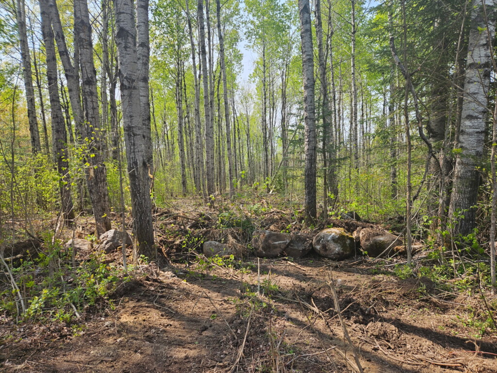 Suppression Repair Placement Of Rocks And Limbs