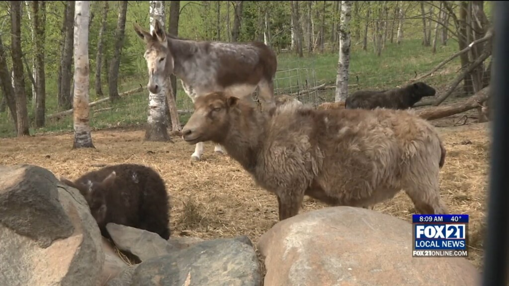 Kqds1 Tue May 20 08 00