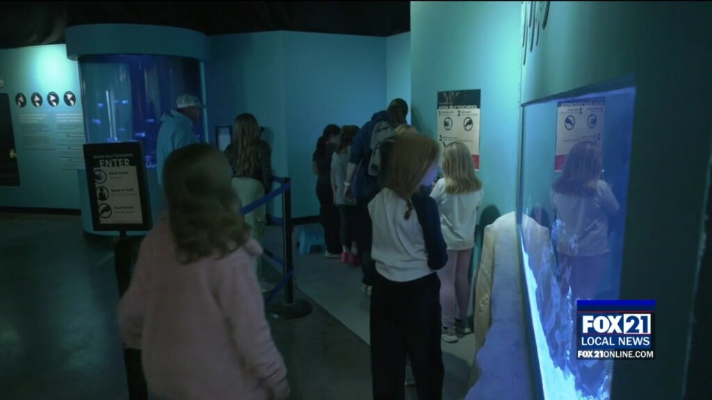 Great Lakes Aquarium Steps Back In Time With New Exhibit