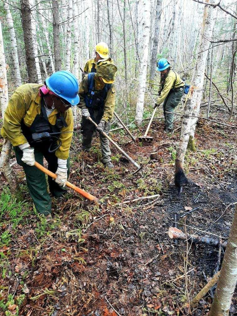 Brimson Complex firefighters construct handline on May 18, 2025.