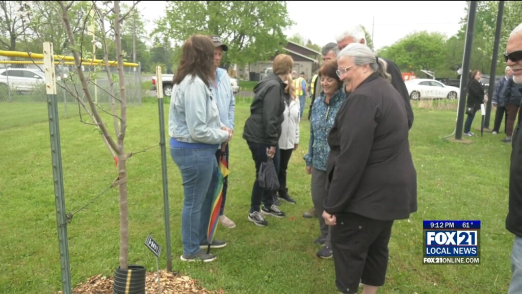 Superior Tree And Bench Ceremonies