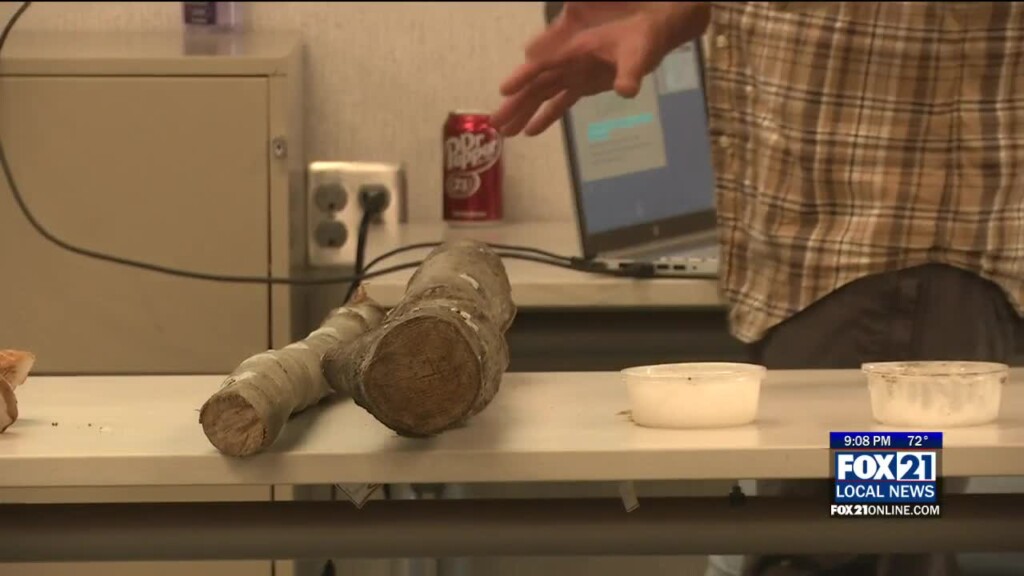 Shiitkae Mushroom Workshop