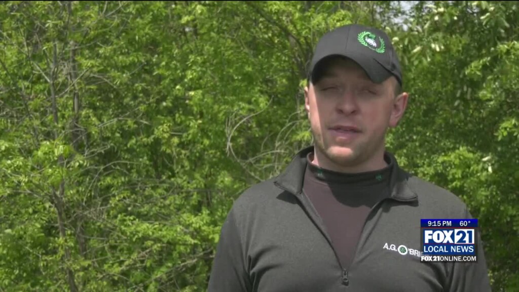 Chris Adette Announces He's Running For Duluth City Council