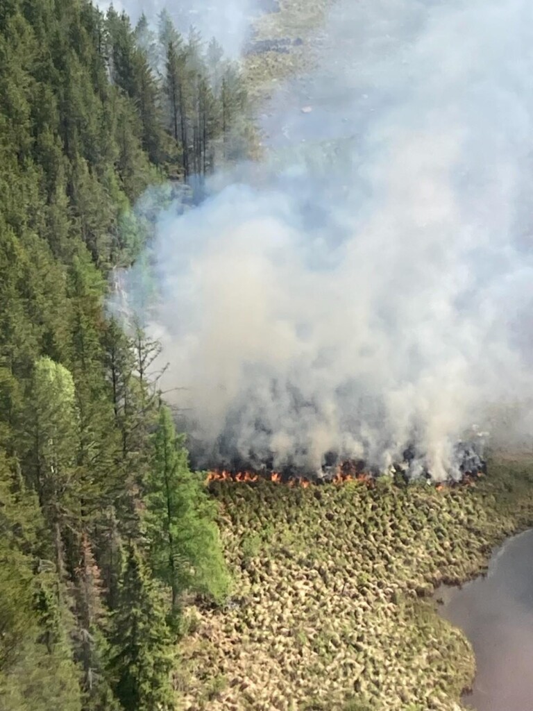 Laird Creek Photo - Jenkins Creek Fire
