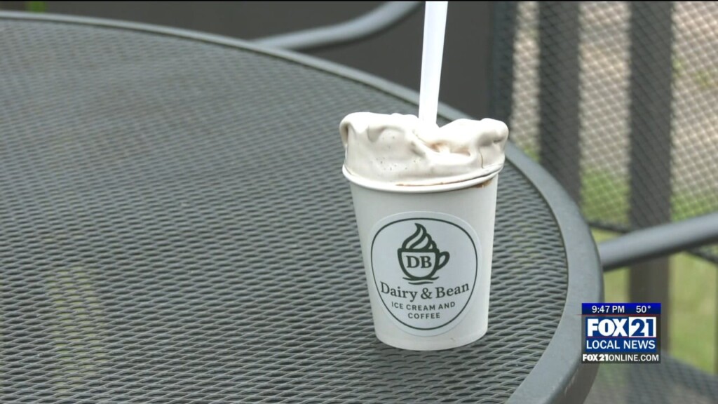 Kyn: 'dairy & Bean Coffee And Ice Cream' Is The Latest Lake Nebagamon Scoop