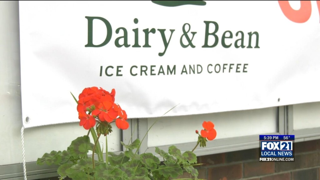 Dairy & Bean Preview 530