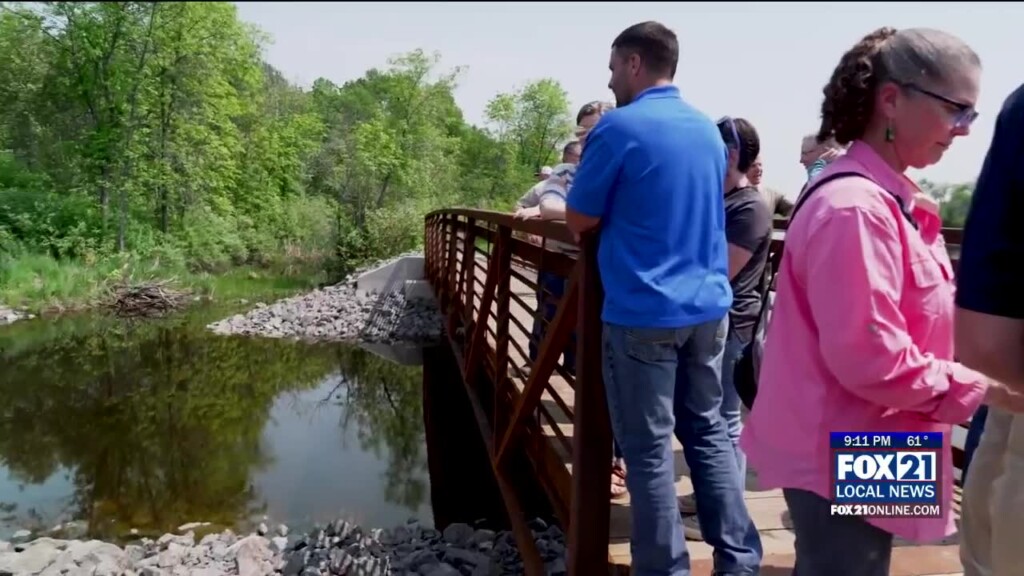 Perch Lake Habitat Restoration