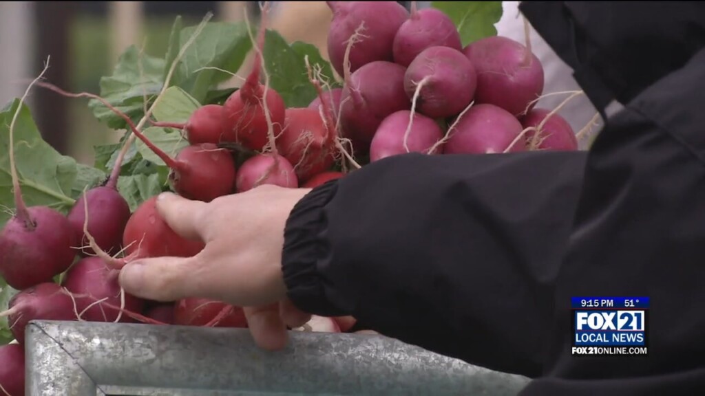 Lincoln Park Farmers Market Opening Day