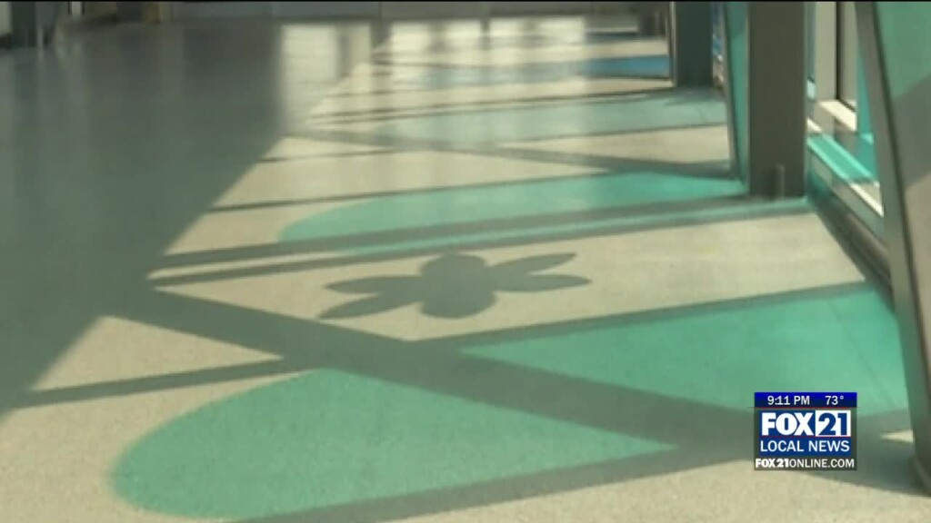 Skybridge Art Installation Opening