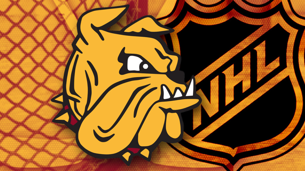 Umdnhllogo