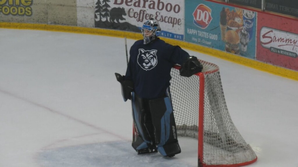 Wilderness Web 72225