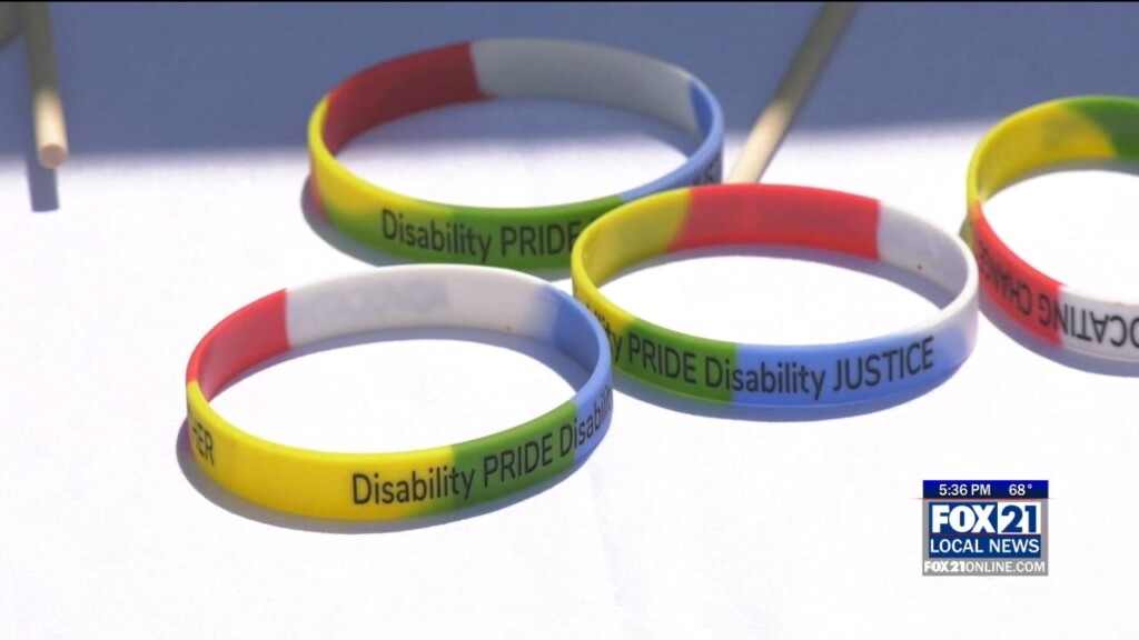 Twin Ports Celebrates First Disability Pride Event