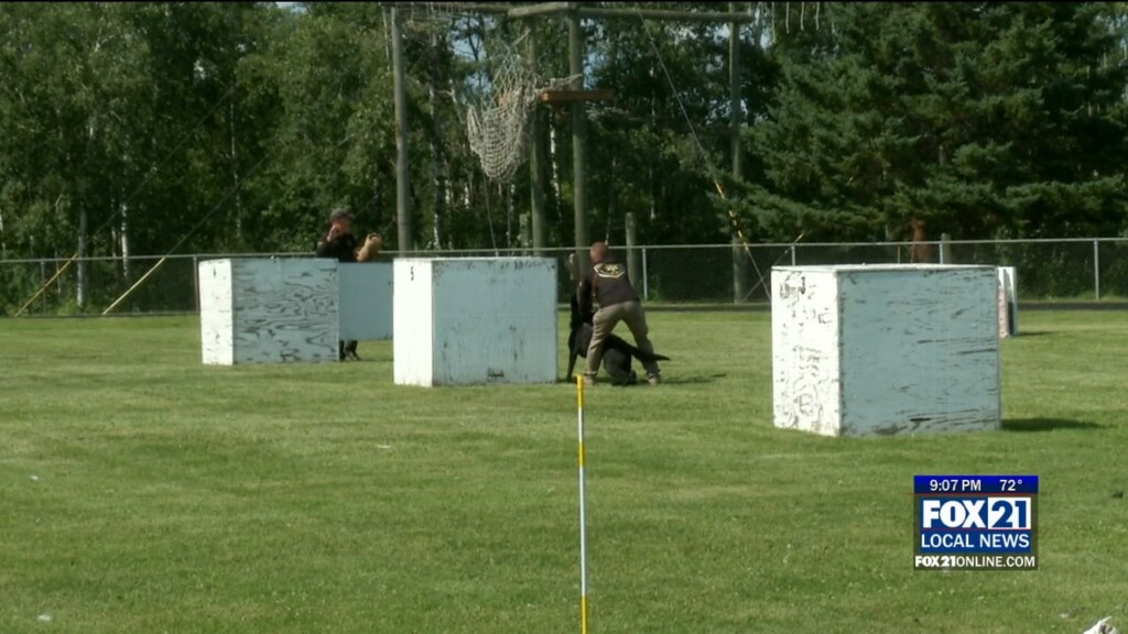 K9 Practice