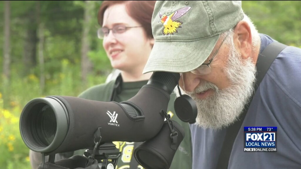 Local Environmental Organizations Hosts 'everyone Can Bird'