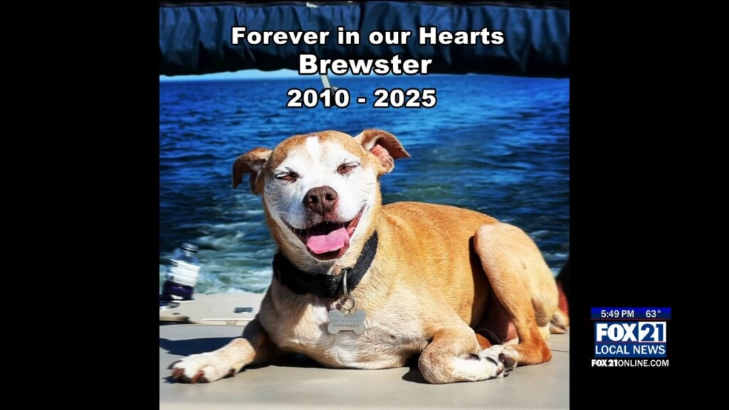 Remembering Brewster