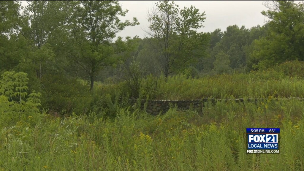 Carlton County Animal Rescue Plans To Build Shelter In Cloquet