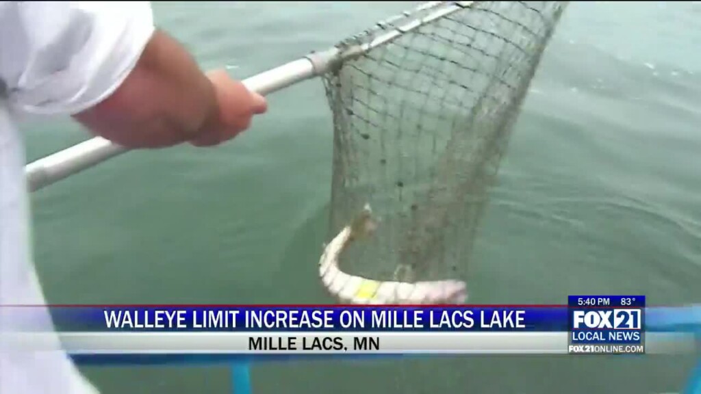 Walleye Limit Increase On Mille Lacs Lake