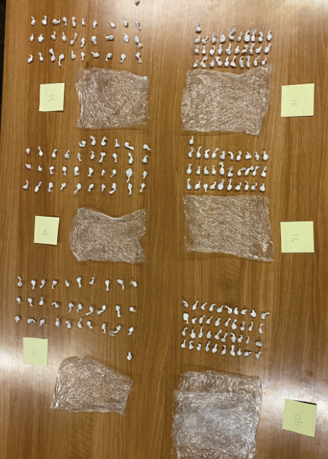 Dugs Sized in Chicago-to-Duluth Fentanyl Trafficking Scheme