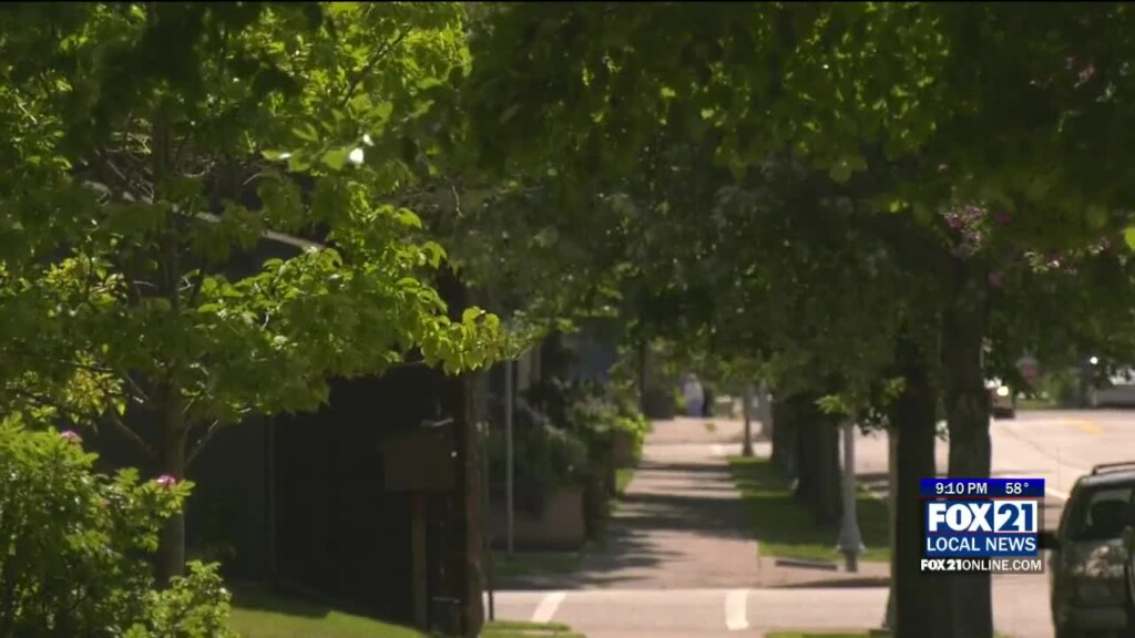 Urban Community Forest