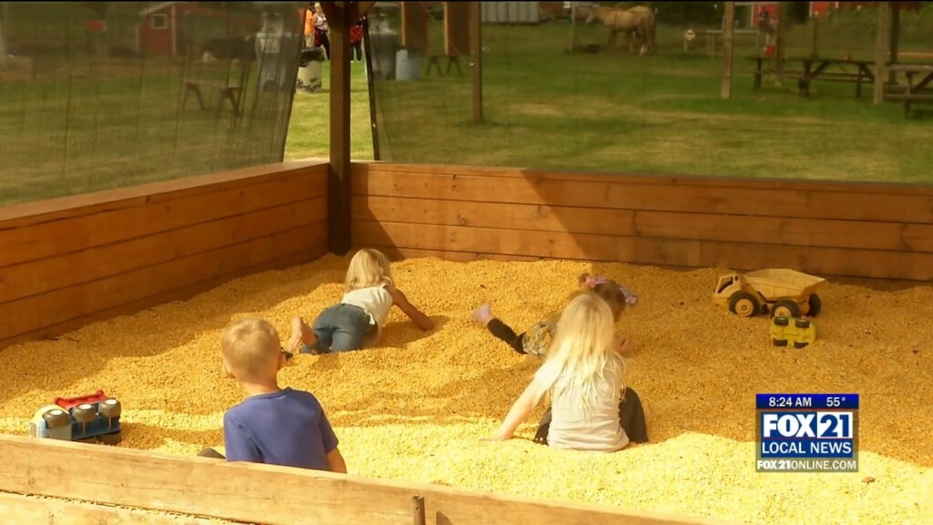 Kqds1 Thu Sep 11 08 00