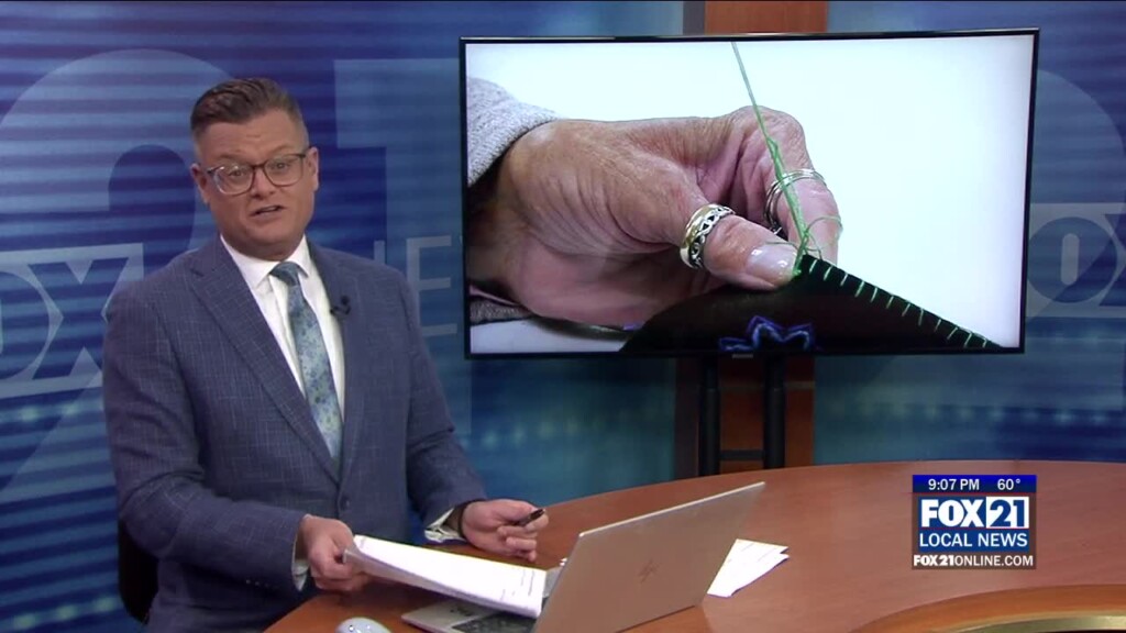 The Needle Art Guild Kicks Off Its 52nd Year