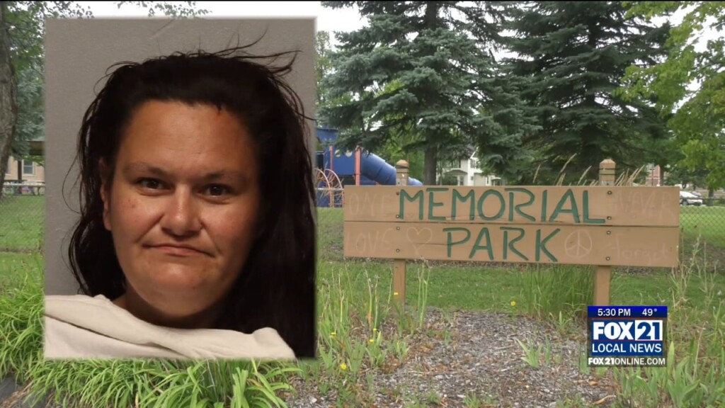 Charges: Woman Randomly Stabbed In Memorial Park