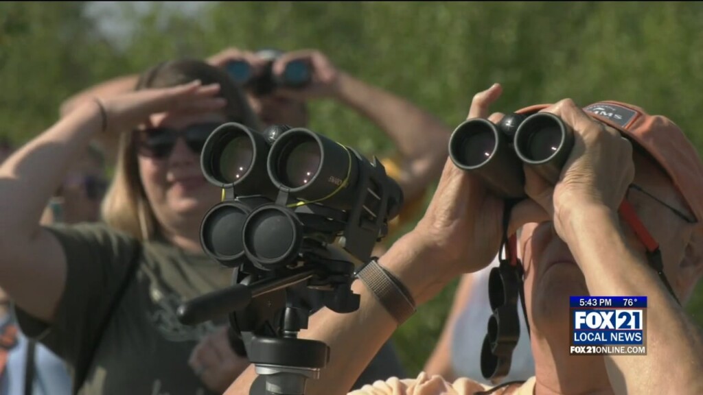 Fall Hawk Migration In Full Swing